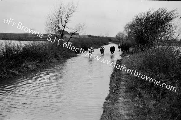 CLARA ROAD EQUINOCTIAL FLOOD